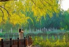 亚洲中文字幕一二三四区-探索亚洲中文字幕的多元文化魅力